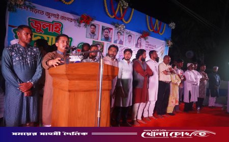 দেশ ডুবছে পানিতে আর প্রধানমন্ত্রী ব্যস্ত ফটোসেশনে: সারজিস আলম