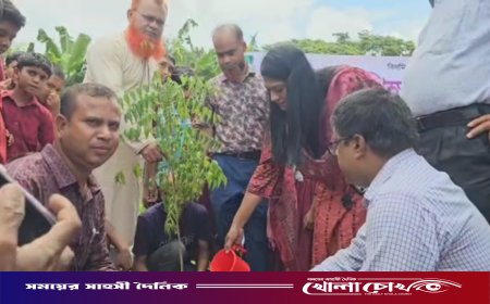 নগরকান্দায় সরকারি প্রাথমিক বিদ্যালয়ে বৃক্ষরোপণ কর্মসূচির শুভ উদ্বোধন