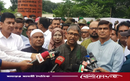 জুলাই সনদ বাস্তবায়নে সরকার-বিরোধী দল একসঙ্গে কাজ করছে: মুক্তিযুদ্ধমন্ত্রী