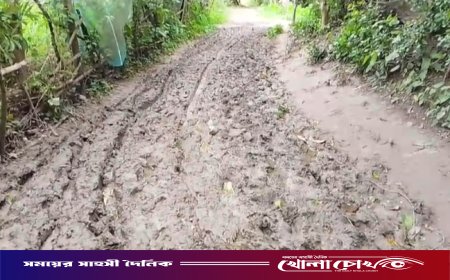 নগরকান্দার তালপট্টি হতে হাসমত শিকদারের বাড়ি পর্যন্ত  কাঁচা রাস্তায় চরম ভোগান্তি, দুর্ভোগে এলাকাবাসী
