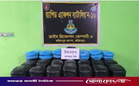 ঢাকা-ভাঙ্গা এক্সপ্রেসওয়েতে ৩০ লাখ টাকার গাঁজা উদ্ধার, কাভার্ড ভ্যান জব্দ