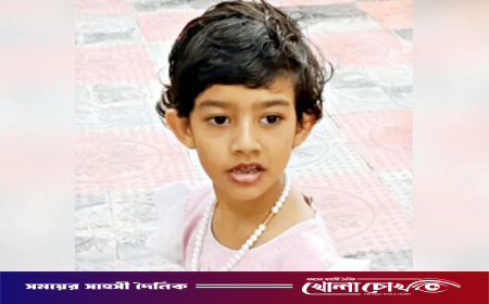 সেপটিক ট্যাঙ্কে মেলে শিশুর লাশ, খুন করেন চাচি