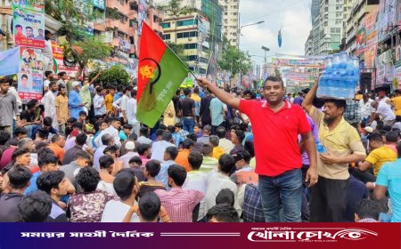 সদরপুর উপজেলা যুবদলের সাধারণ সম্পাদক পদে আলোচনায় সোহেল মোল্লা
