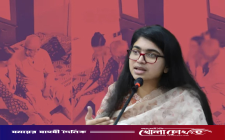 মহান’ সংসদের মর্যাদা বাঁচাতে যথাযথ ব্যবস্থা নিতে হবে, জামায়াত এমপির ভিডিও প্রসঙ্গে তাসনিম জারা