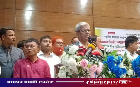 আগামী বছরের শুরুতে স্থানীয় সরকারের নির্বাচন: মির্জা ফখরুল
