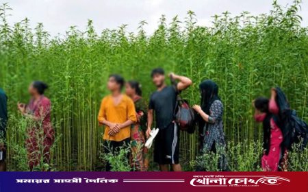 কুষ্টিয়া সীমান্তে ৮ জনকে পুশইনের চেষ্টা প্রতিহত করল বিজিবি