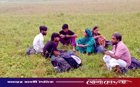 মহেশপুর সীমান্তে বিএসএফের ৬ জনকে পুশ ইনের চেষ্টা প্রতিহত করল বিজিবি
