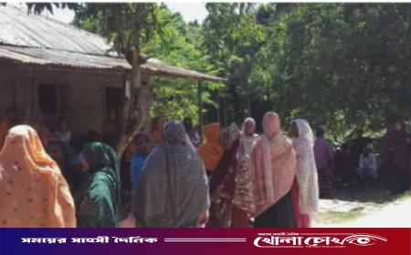 দাদার জানাজা শেষ না করতেই নাতনির মৃত্যুর সংবাদ