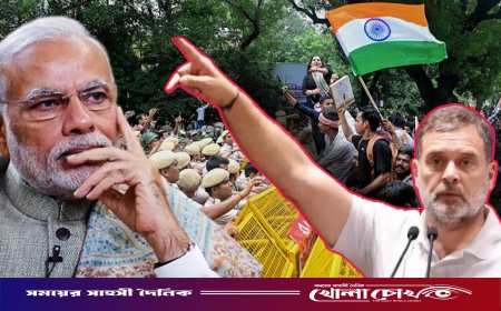 ভারতে মোদী সরকারকে ক্ষমতাচ্যুত করার আহ্বান রাহুল গান্ধীর