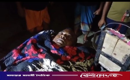 কুষ্টিয়া দৌলতপুরে ছেলের টর্চলাইটের আঘাতে বাবার মৃত্যু
