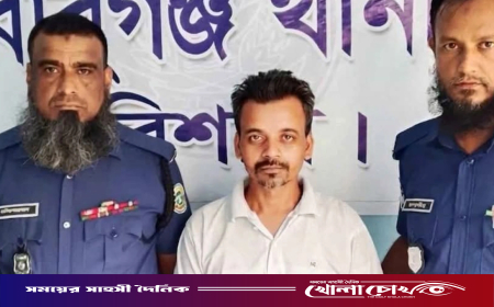 পর্নোগ্রাফি ও নারী নির্যাতন মামলায় জিয়া মঞ্চের নেতা গ্রেপ্তার