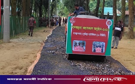 কুমিল্লায় ৫১ কোটি ৮৩ লাখ টাকার বেশি মূল্যের মাদকদ্রব্য ধ্বংস করল বিজিবি