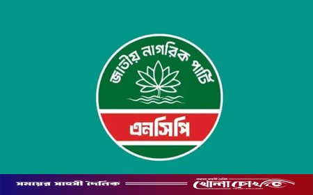 আজ সারাদেশে এনসিপির বিক্ষোভ সমাবেশ