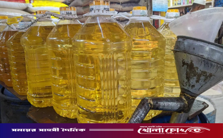 সয়াবিন তেলে ৬ ধরনের প্লাস্টিক পলিমার (তালিকা)