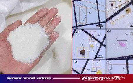 চিনিতেও মিলল ব্যাপক মাত্রায় মাইক্রোপ্লাস্টিক