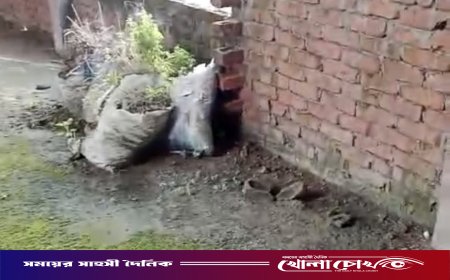 ভাঙ্গায় ঢাকা বিভাগের শ্রেষ্ঠ অদম্য নারীর নির্মাণাধীন বাড়িতে দুঃসাহসিক চুরি