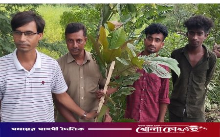 ‘বৃক্ষরোপণে সাজাই দেশ, সবার আগে বাংলাদেশ’: ফরিদপুরে বৃক্ষরোপণ কর্মসূচি পালিত