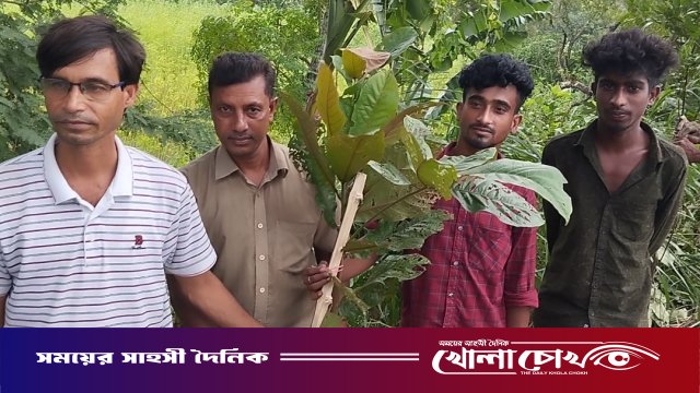 ‘বৃক্ষরোপণে সাজাই দেশ, সবার আগে বাংলাদেশ’: ফরিদপুরে বৃক্ষরোপণ কর্মসূচি পালিত