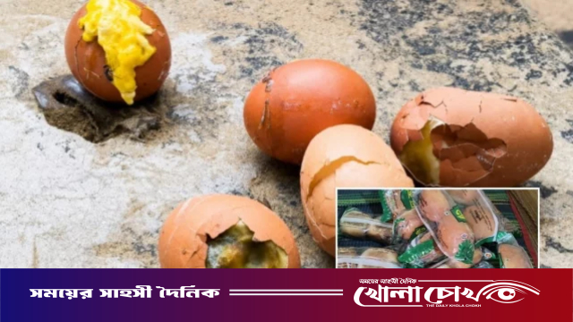 মেহেরপুরে বাচ্চা থাকা পচা ডিম ও ছত্রাকসহ পাউরুটি দেওয়া হলো স্কুল ফিডিংয়ে
