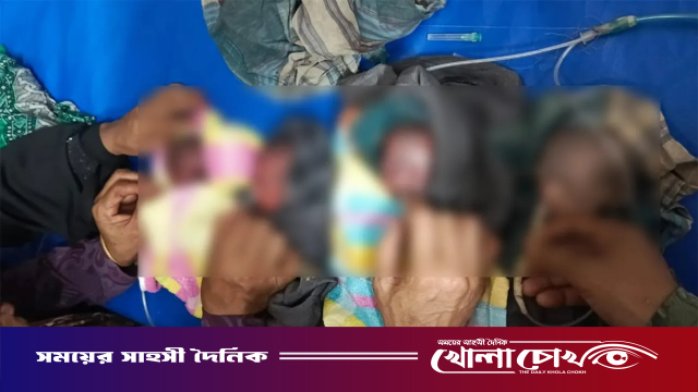 ফরিদপুরে একসঙ্গে ৫ সন্তানের জন্ম, মারা গেল ৪ জন