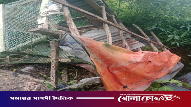 কাপ্তাইয়ের চিৎমরমে বন্য হাতির উপদ্রব: চরম আতঙ্কে স্থানীয়রা