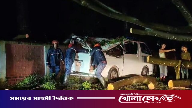 অতিবৃষ্টিতে অ্যাম্বুলেন্সের ওপর ভেঙে পড়ল গাছ