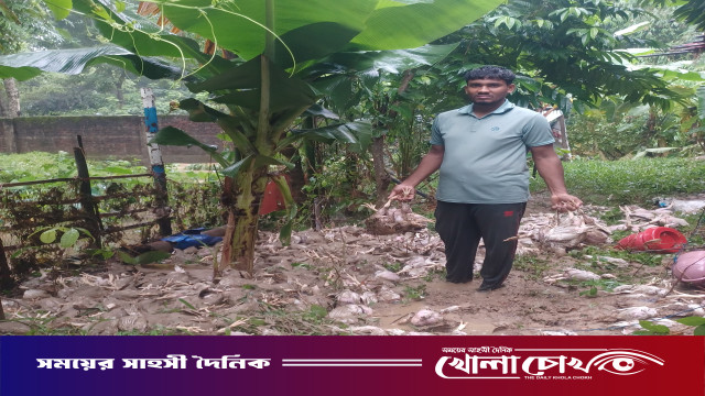 টানা বর্ষণে প্লাবিত বাঙ্গালহালিয়া: দেড় হাজার মুরগি পানিতে তলিয়ে খামারির আহাজারি