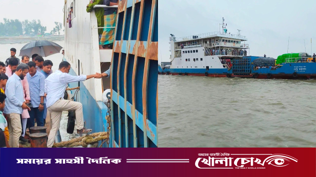 ফেরিকাণ্ডে সমালোচনা, যে ব্যাখ্যা দিলেন হান্নান মাসউদ