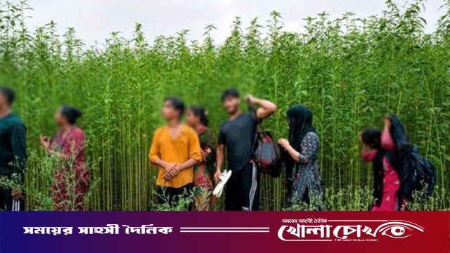 কুষ্টিয়া সীমান্তে ৮ জনকে পুশইনের চেষ্টা প্রতিহত করল বিজিবি
