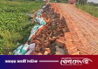 উদ্বোধনের আগেই সড়কে ধস, বিল আটকে দিল প্রশাসন