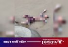 কুষ্টিয়ায় পদ্মার ভাঙনে তলিয়ে যাওয়া শিশু নূরিয়ার মরদেহ উদ্ধার