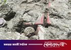 মেহেরপুরে ১০টি ল্যান্ডমাইন ও পাঁচটি ল্যান্ডমাইনের বক্স সদৃশ বস্তু উদ্ধার