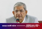 রাষ্ট্রপতি পদে বিএনপির মনোনয়ন পেলেন মির্জা ফখরুল