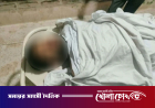 খুলনায় ইটভাটায় ঢুকে যুবদল কর্মীকে গুলি করে হত্যা