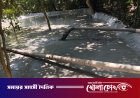 নগরকান্দায় ফসলি জমি থেকে অবৈধ ড্রেজারে বালু উত্তোলন, ঝুঁকিতে কৃষিজমি