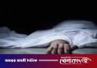 কুষ্টিয়ার দৌলতপুরে সাপের কামড়ে গৃহবধূর মৃত্যু