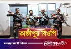 দৌলতপুর সীমান্তে বিজিবির পৃথক অভিযান: প্রায় ২৯ লাখ টাকার ভারতীয় মাদক ও চোরাই পণ্য জব্দ
