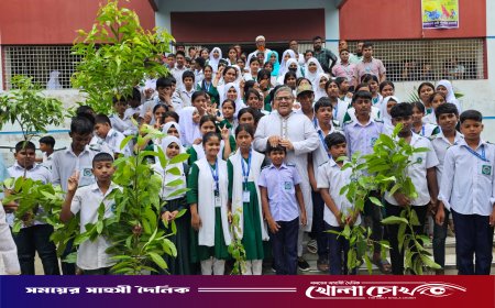 ভাঙ্গায় সৎসঙ্গের উদ্যোগে ফলজ ও বনজ গাছের চারা বিতরণ করেন এমপি শহিদুল ইসলাম বাবুল