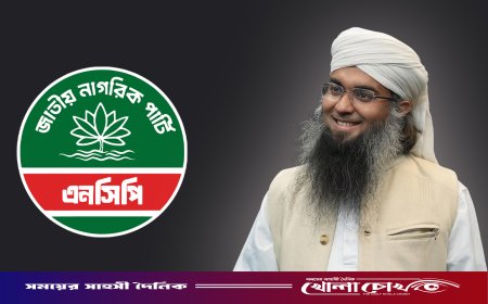 প্রধানমন্ত্রীকে নিয়ে আপত্তিকর পোস্ট, সেই তানভীরকে এনসিপি থেকে ফের অব্যাহতি