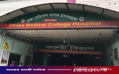 শনির আখড়ায় কাভার্ডভ্যানের ধাক্কায় প্রাণ গেল মিস্ত্রির