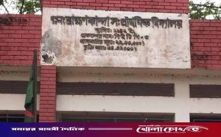 ভাঙ্গায় দপ্তরির বিরুদ্ধে শিশুশিক্ষার্থীকে অসদাচরণের অভিযোগ, নিরপেক্ষ তদন্তের দাবি