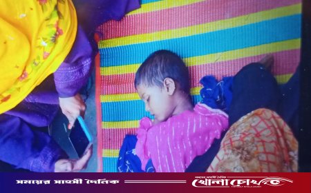 ইঁদুরের গর্তে হাত দিতে গিয়ে সাপের ছোবল, সালথায় ৩ বছরের শিশুর মৃত্যু