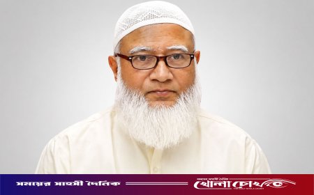 শহীদদের প্রত্যাশা এখনো পূরণ হয়নি: ডা. শফিকুর রহমান