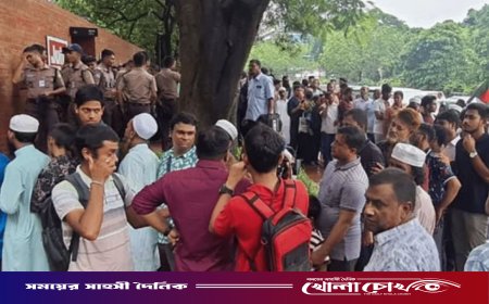 প্রথম দিনেই জুলাই স্মৃতি জাদুঘরে ভিড়, শেষ ৯০০ টিকিট