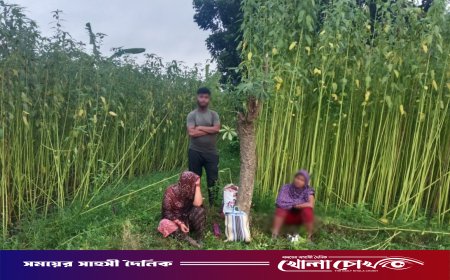 সীমান্তে বিএসএফের পুশইন চেষ্টা প্রতিহত করল বিজিবি