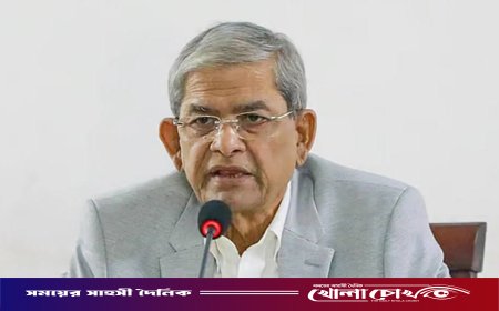 রাষ্ট্রপতি পদে বিএনপির মনোনয়ন পেলেন মির্জা ফখরুল