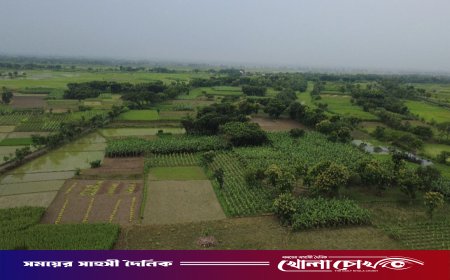 বিএসএফের হাতে বাংলাদেশি আটক, পাল্টা দুই ভারতীয়কে ধরল গ্রামবাসী