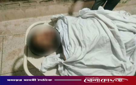 খুলনায় ইটভাটায় ঢুকে যুবদল কর্মীকে গুলি করে হত্যা