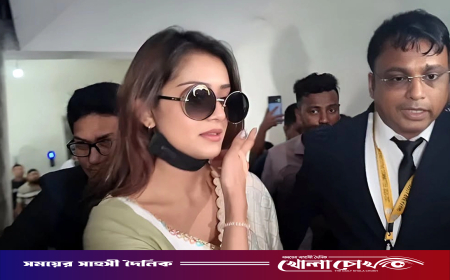 একটি শাড়ির জন্য আদালতে আসা কাম্য নয়: তানজিন তিশা