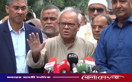 শেখ হাসিনাকে দিয়ে ভারত স্বার্থ হাসিল করতে চায়: রিজভী